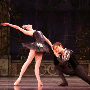 Black Swan